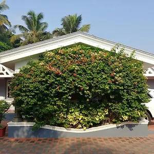 The Cute 3*, Mysore India